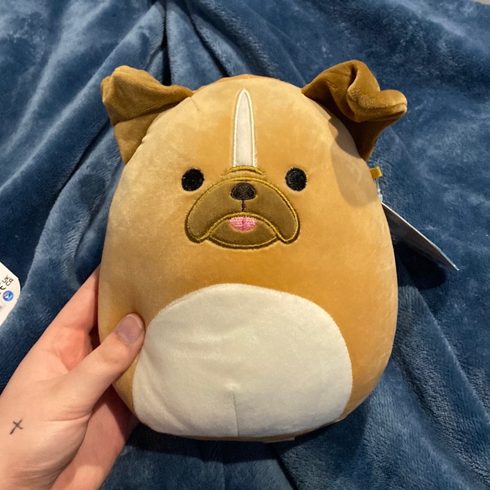 dog squishmallow